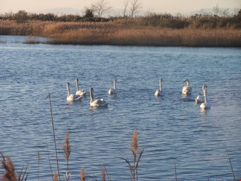 Tour in Bici: Bibione, Terzo Bacino e Brussa