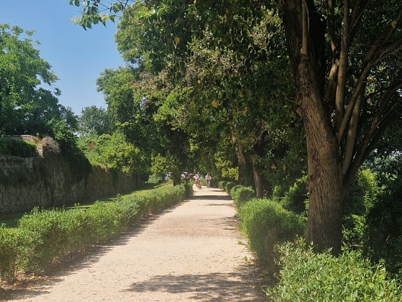 C’è un luogo dove la terra finisce e l’acqua inizia a raccontare storie.