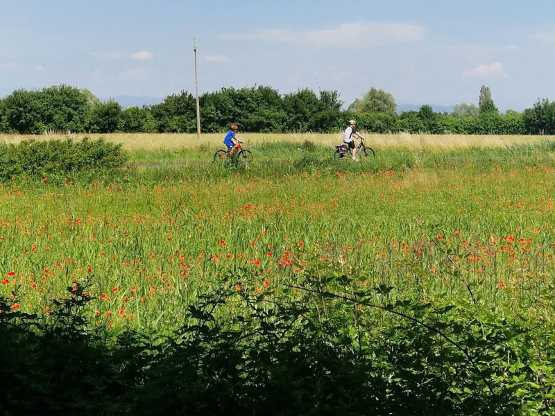 Dove il Mare incontra la Storia: Il Tuo Viaggio tra Grado e Aquileia