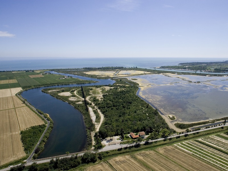 Oltre l’Orizzonte: Il Canto della Laguna tra Grado e Valle Cavanata