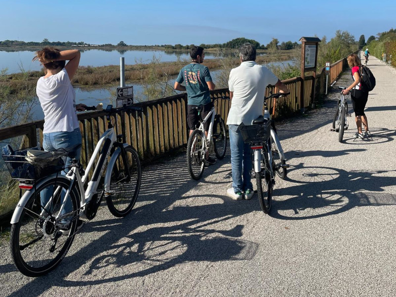 Oltre l’Orizzonte: Il Canto della Laguna tra Grado e Valle Cavanata